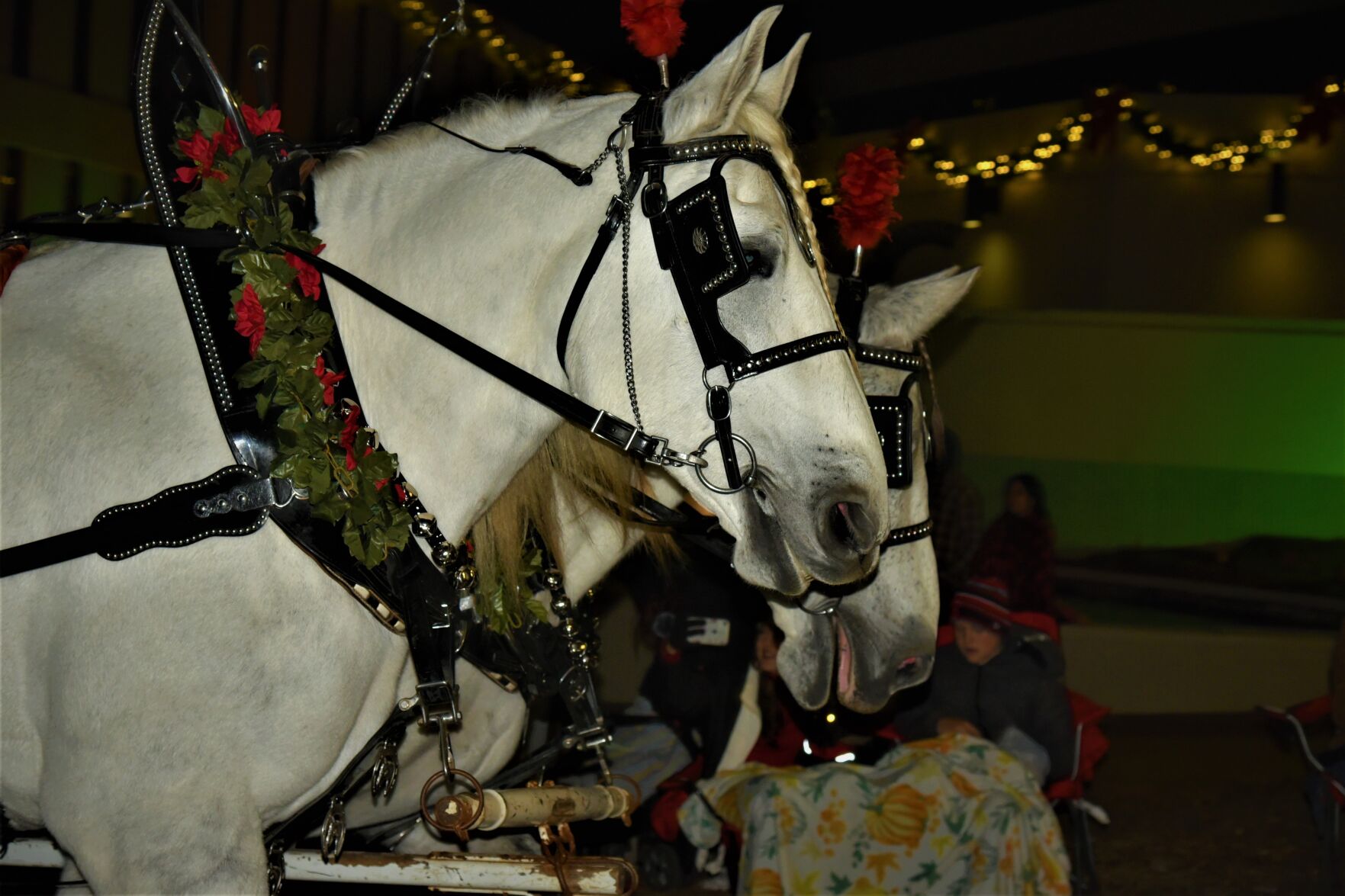 Hoppin' Nov. 22 (114).JPG